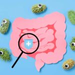 Probiotics Applications in Type 2 Diabetes Treatment
