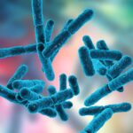 The application of probiotics in supporting the treatment of infertility in women