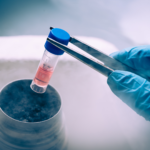 Similarities and Differences between Dental Pulp and Umbilical Cord Stem Cells